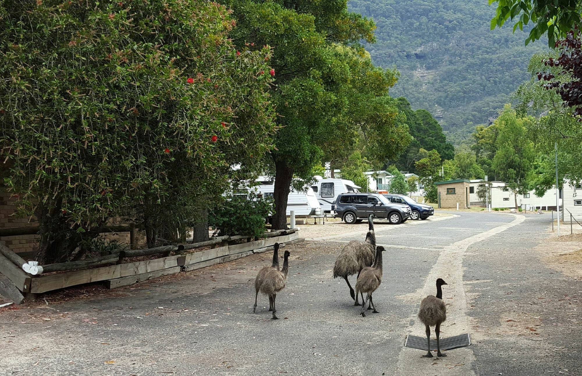 Breeze Holiday Parks - Halls Gap Εξωτερικό φωτογραφία